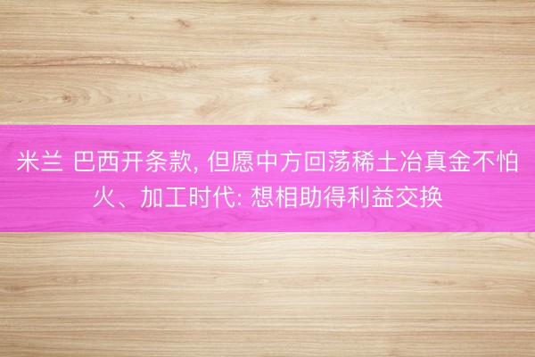 米兰 巴西开条款, 但愿中方回荡稀土冶真金不怕火、加工时代: 想相助得利益交换